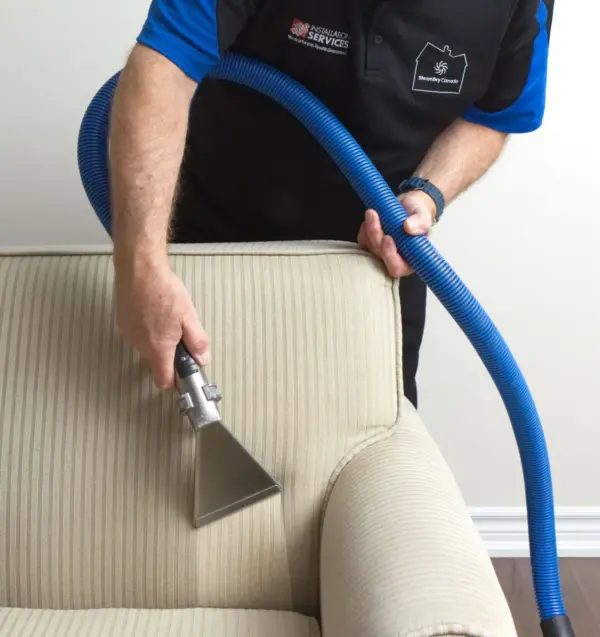 Sofa Cleaning